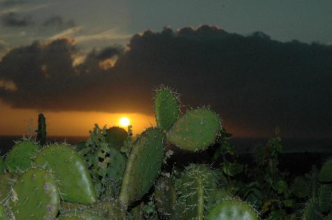 20060121162754   Sunset